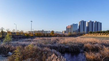 Changchun şehrinin kentsel bölgesinde sonbahar manzarası, Çin