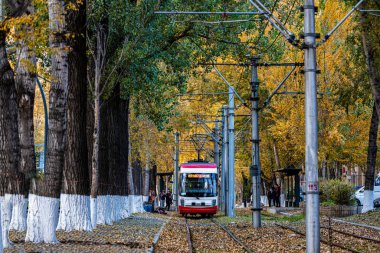 Changchun, Çin 'de tramvay ve düşen yapraklar.
