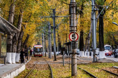 Changchun, Çin 'de tramvay ve düşen yapraklar.