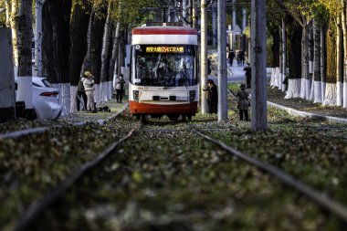 Changchun, Çin 'de tramvay ve düşen yapraklar.