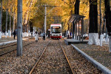 Changchun, Çin 'de tramvay ve düşen yapraklar.