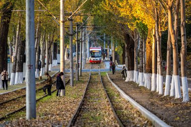 Changchun, Çin 'de tramvay ve düşen yapraklar.
