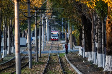 Changchun, Çin 'de tramvay ve düşen yapraklar.