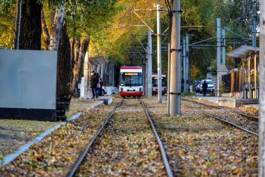 Changchun, Çin 'de tramvay ve düşen yapraklar.