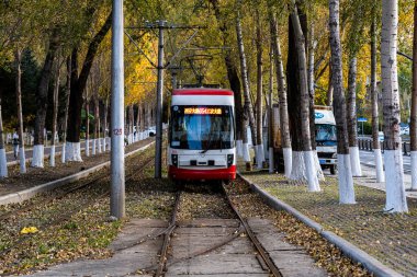 Changchun, Çin 'de tramvay ve düşen yapraklar.