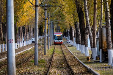 Changchun, Çin 'de tramvay ve düşen yapraklar.