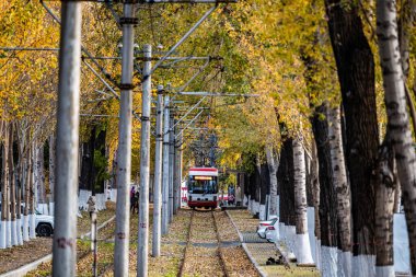 Changchun, Çin 'de tramvay ve düşen yapraklar.