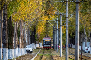 Changchun, Çin 'de tramvay ve düşen yapraklar.