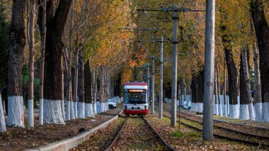 Changchun, Çin 'de tramvay ve düşen yapraklar.