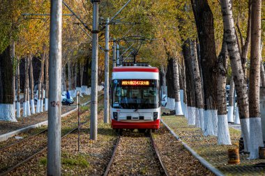 Changchun, Çin 'de tramvay ve düşen yapraklar.