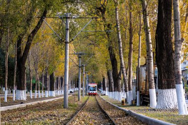 Changchun, Çin 'de tramvay ve düşen yapraklar.