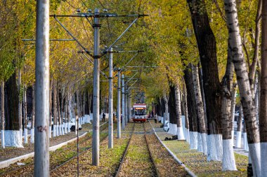 Changchun, Çin 'de tramvay ve düşen yapraklar.