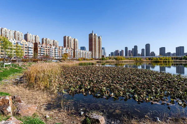 Changchun şehrinin kentsel bölgesinde sonbahar manzarası, Çin