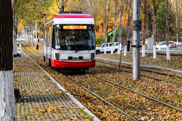 기차와 낙엽으로 뒤덮인 장춘의 — 스톡 사진
