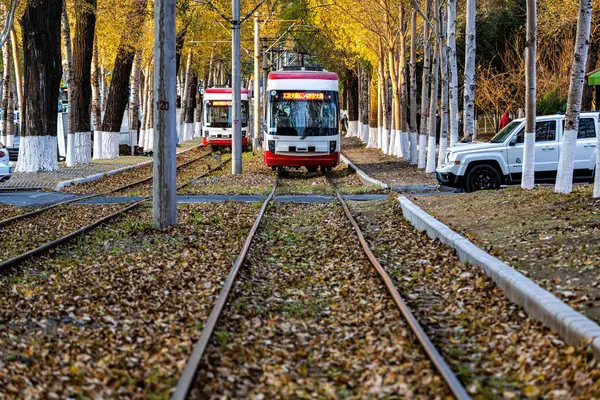 Changchun, Çin 'de tramvay ve düşen yapraklar.