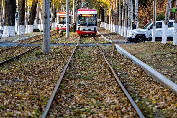Changchun, Çin 'de tramvay ve düşen yapraklar.