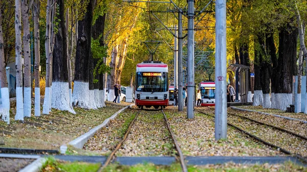 Changchun, Çin 'de tramvay ve düşen yapraklar.