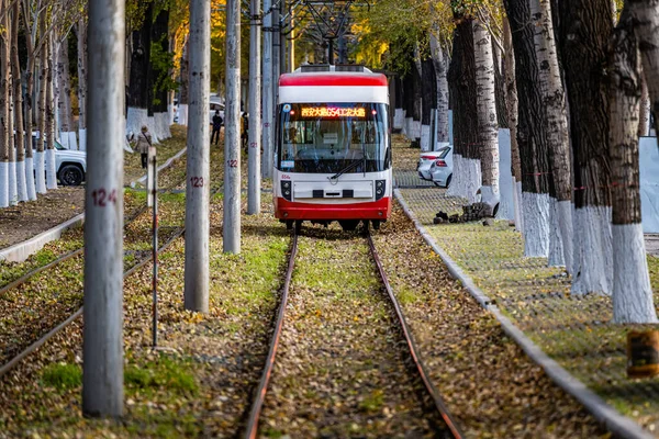 Changchun, Çin 'de tramvay ve düşen yapraklar.
