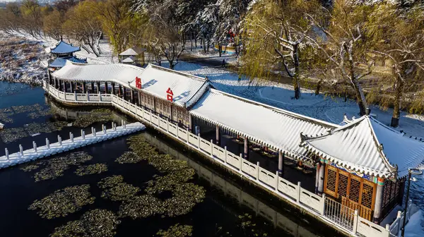 Landskap South Lake Park Changchun Kina Efter Snö — Stockfoto