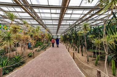 The scene of the tropical orchard exhibition area of the 13th Winter Agricultural Expo in Changchun, China