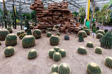 The scene of the tropical orchard exhibition area of the 13th Winter Agricultural Expo in Changchun, China