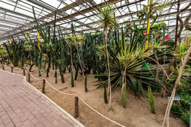 The scene of the tropical orchard exhibition area of the 13th Winter Agricultural Expo in Changchun, China
