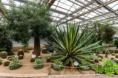 The scene of the tropical orchard exhibition area of the 13th Winter Agricultural Expo in Changchun, China