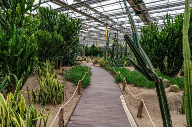 The scene of the tropical orchard exhibition area of the 13th Winter Agricultural Expo in Changchun, China