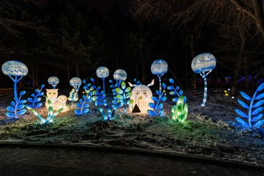 Chinese New Year Garden Theme Lantern Festival Scene in Changchun, China