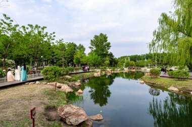 Changchun, Çin 'deki Peony Garden manzarası