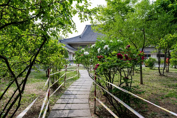 Άποψη Του Κήπου Peony Στο Changchun Κίνα — Φωτογραφία Αρχείου