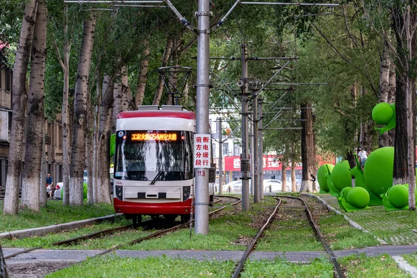 stock image On June 16, 2023, in Changchun, China, a group of green snail arts was exhibited at Route 54 Tram Station. These snails come from Italy, adding a beautiful landscape to Changchun's summer.