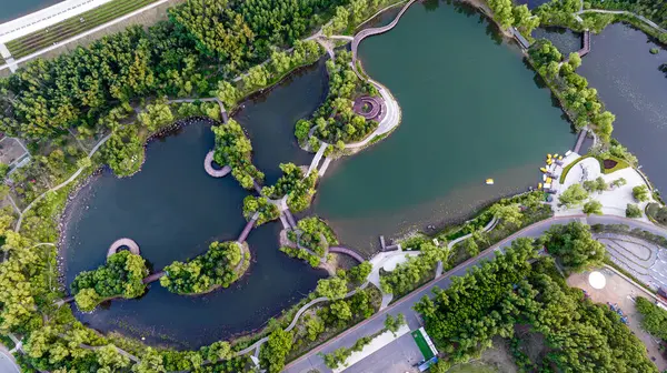 Yazın Changchun, Çin 'deki Jingyuetan Ulusal Orman Parkı manzarası