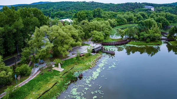 Yazın Changchun, Çin 'deki Jingyuetan Ulusal Orman Parkı manzarası