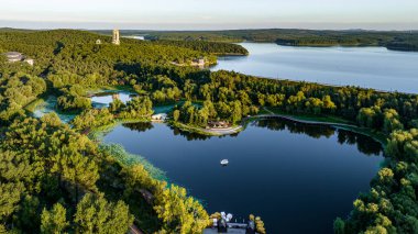 Jingyuetan Ulusal Orman Parkı, Changchun, Çin 'de nilüfer çiçekleri açar.