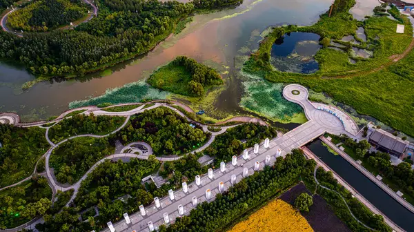 Beihu National Wetland Park Látképe Changchunban Kínában — Stock Fotó