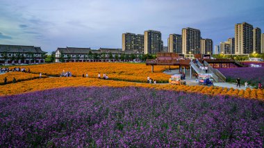 Kuzey Gölü, Changchun, Çin 'deki Çiçek Denizi manzarası