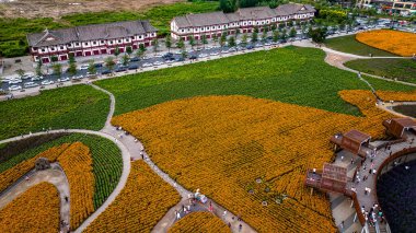 Kuzey Gölü, Changchun, Çin 'deki Çiçek Denizi manzarası