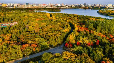 Çin, Changchun 'daki Nanhu Park' ın sonbahar manzarası