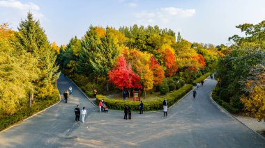 Nanhu Park, Changchun, Çin 'de sonbahar manzarası