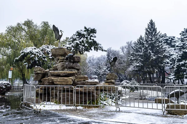 İlk kar yağışından sonra Nanhu Park, Changchun, Çin 'de kar manzarası