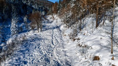Çin 'in kar kasabasının Yangcao Dağları' ndaki Orman ve Dağ Yolu Kar Manzarası