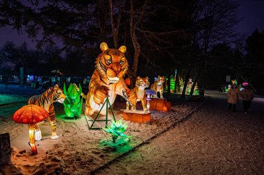 Changchun Hayvanat Bahçeleri ve Botanik Bahçeleri Batı Tema Parkı 'na Gece Yolculuğu