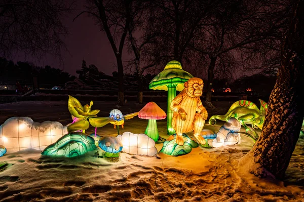 Changchun Hayvanat Bahçeleri ve Botanik Bahçeleri Batı Tema Parkı 'na Gece Yolculuğu