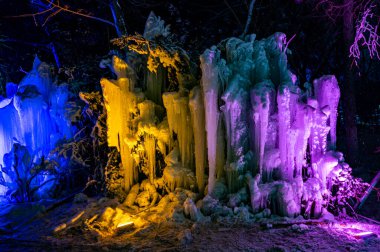 Changchun Hayvanat Bahçeleri ve Botanik Bahçeleri Batı Tema Parkı 'na Gece Yolculuğu