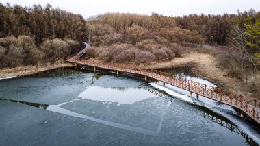 Çin 'in Changchun kentindeki Jingyuetan Ulusal Orman Parkı' nda buzlar erir ve bahar başında karlar erir.