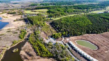 Çin Changchun 'daki Jingyuetan Ulusal Orman Parkı' nın bahar manzarası.