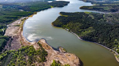 Çin Changchun 'daki Jingyuetan Ulusal Orman Parkı' nın bahar manzarası.