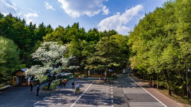 Jingyuetan Ulusal Orman Parkı manzarası, Changchun, Çin Yazın başında