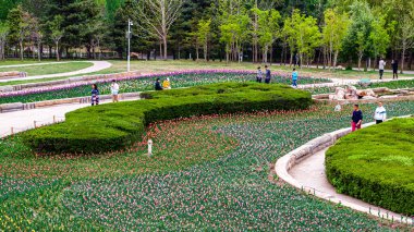 Changchun, Çin 'deki Changchun Parkı' nın manzarası.